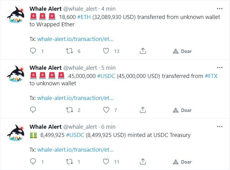 Whales: o que são as baleias no mercado das criptomoedas